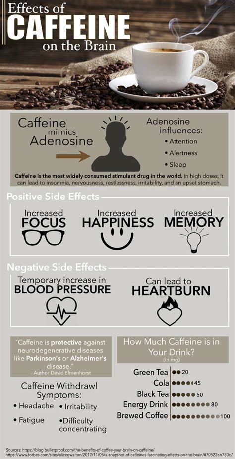 Does caffeine destroy collagen?